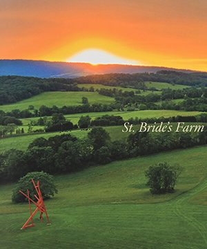 Thumbnail image of the cover of St. Bride's Farm Sculpture Collection for St. Bride's Farm